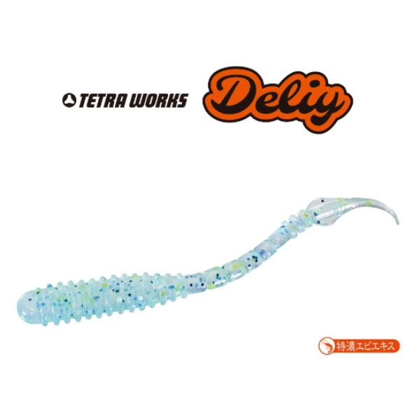 テトラワークス　デリー